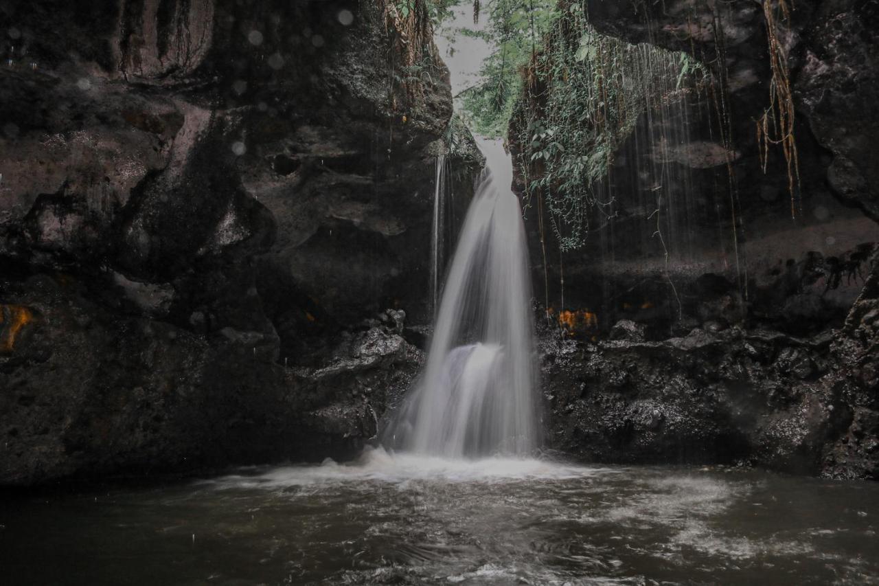 Pondok Rinjani Bungalow Tetebatu Dış mekan fotoğraf