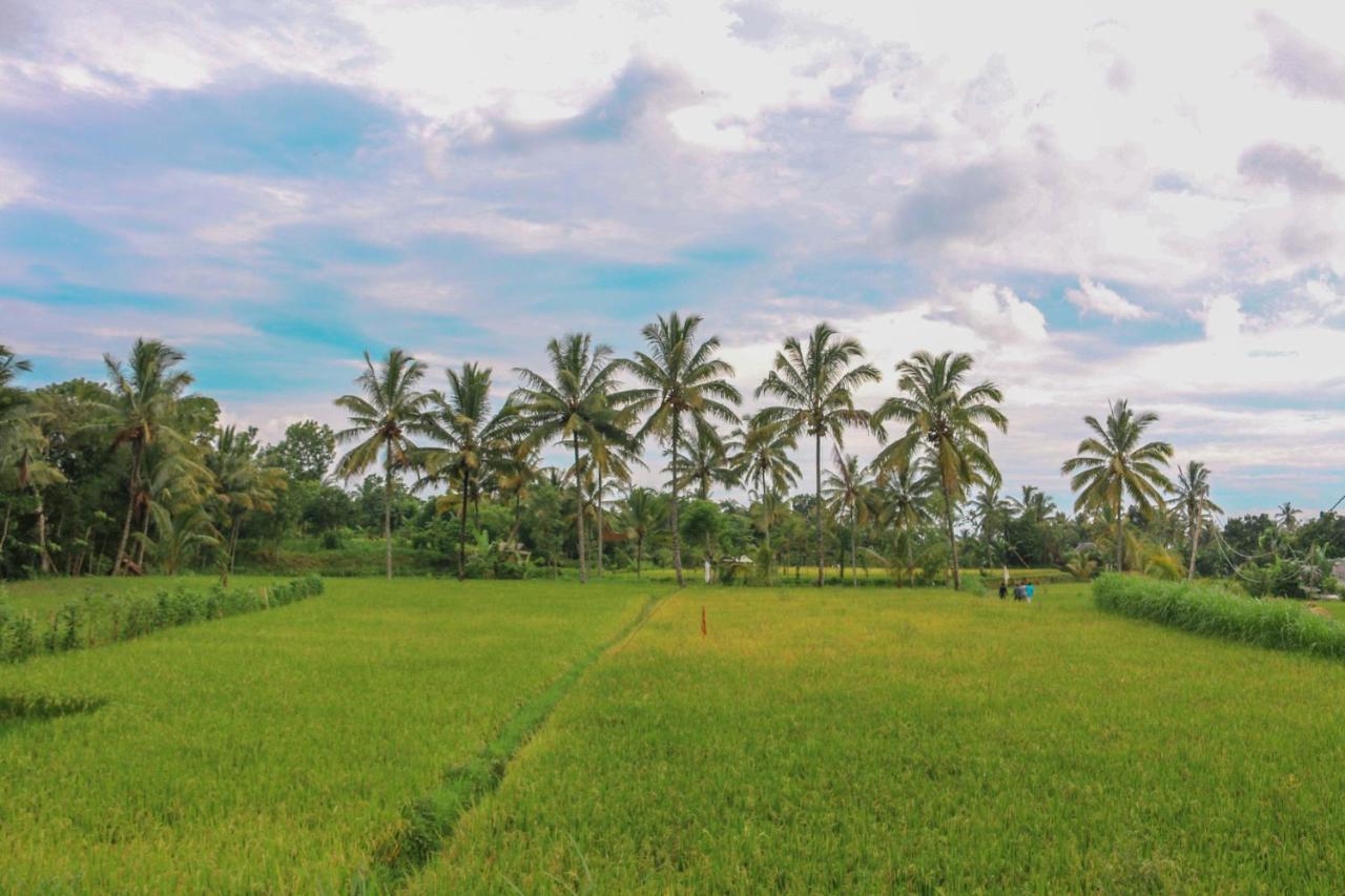 Pondok Rinjani Bungalow Tetebatu Dış mekan fotoğraf